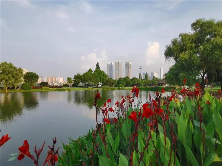 旧改接棒棚改哪些人最受益,一图看懂棚改旧改暴富的机会来了