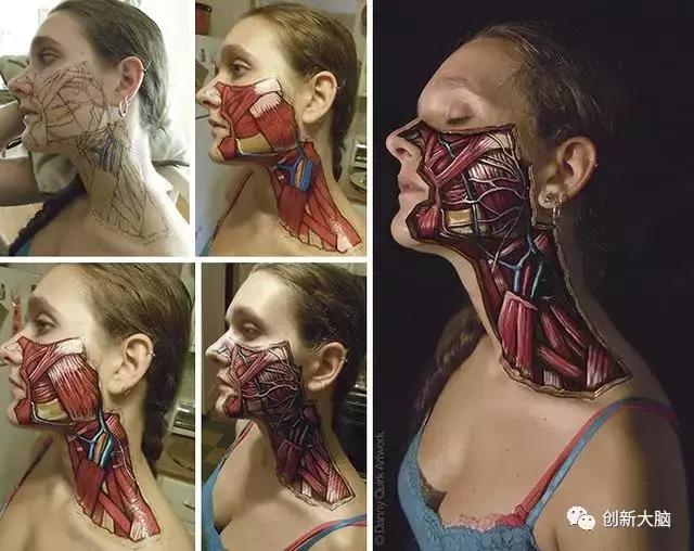 人体解剖创意图画介绍,人体解剖图创意画简介