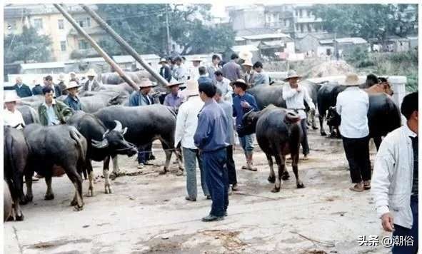 清代潮汕就有“代购”？不愧是百载商埠...