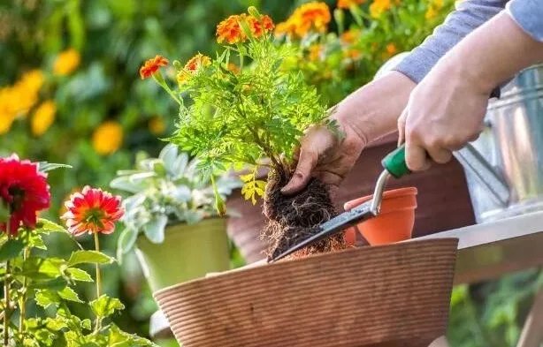 城南即将开放的公园,公园五一开放