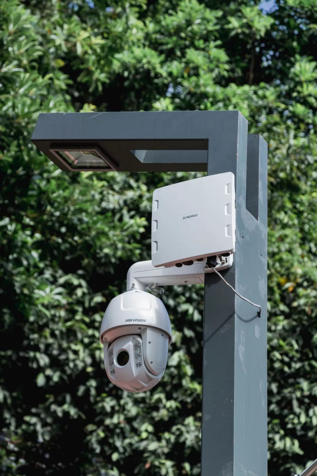 又发现深圳一个“绝美打卡地”!“淘金”绿道,人少免费