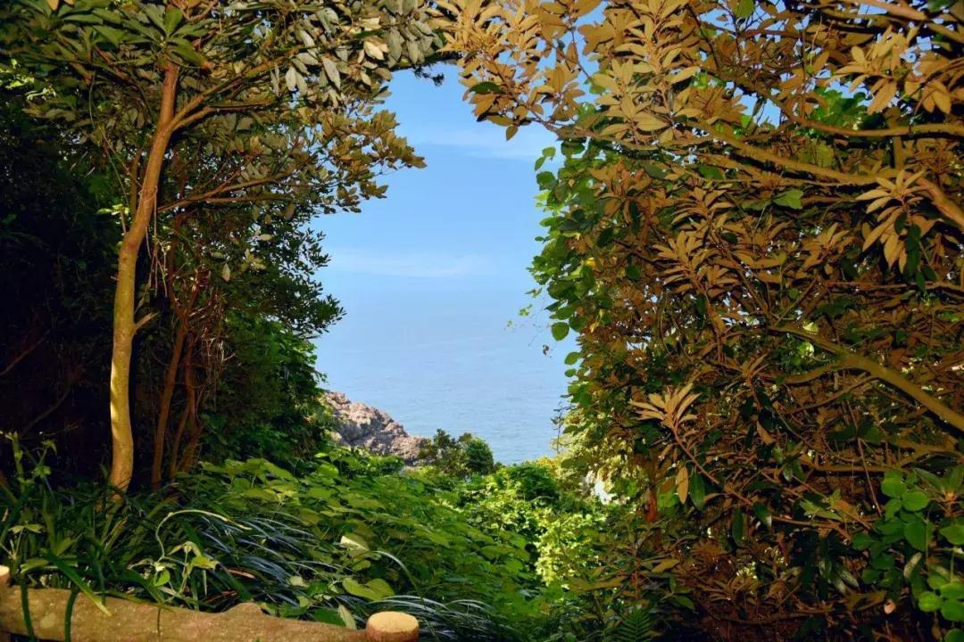 济州岛自由行详细攻略,济州岛自由行超实用攻略