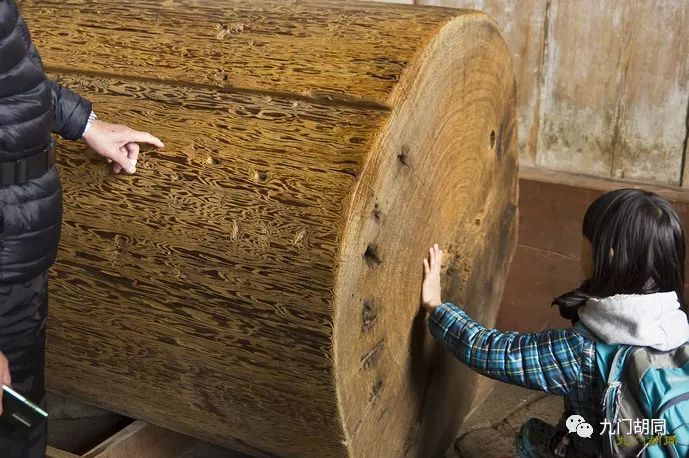 奈良世界文化遗产,东大寺世界遗产