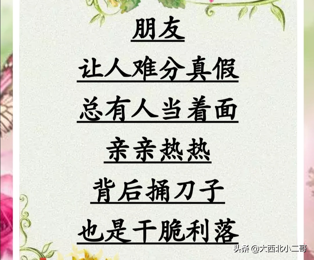 我的生活相册作文,生活相册制作