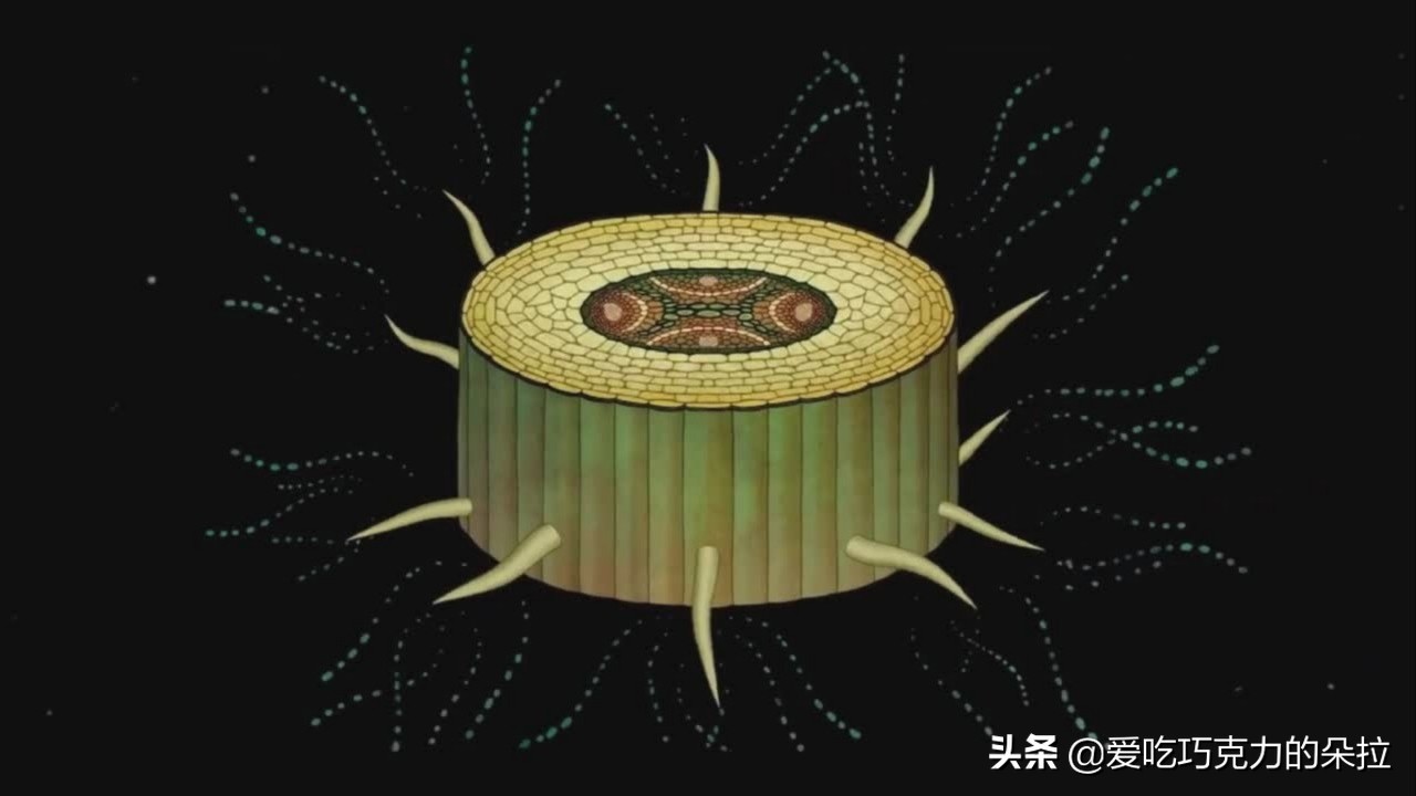 终于懂了古人为何如此爱花,古人为什么以花喻人