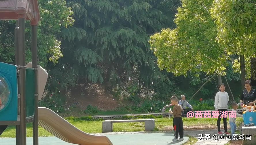 衡阳平湖健身公园,衡阳市平湖公园