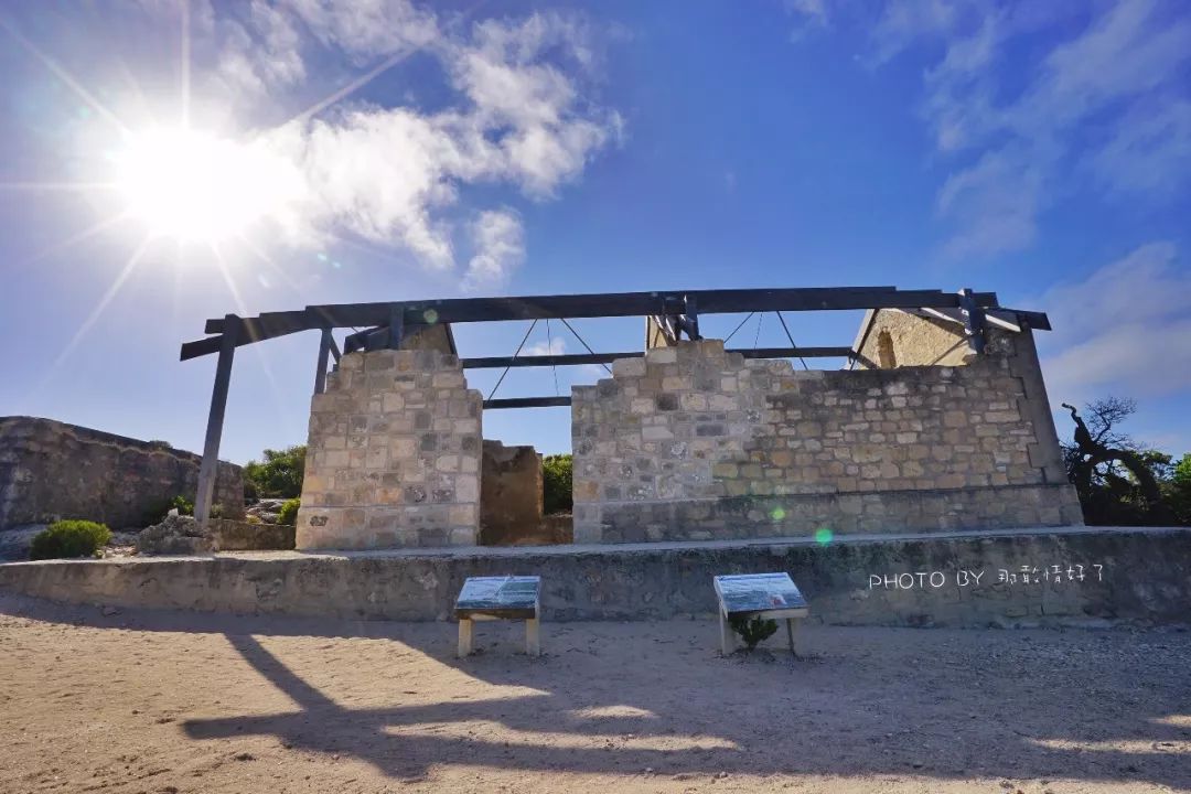 赴澳旅游注意，若带蜂蜜制品上岛，将被判两年监禁或8000澳元罚款