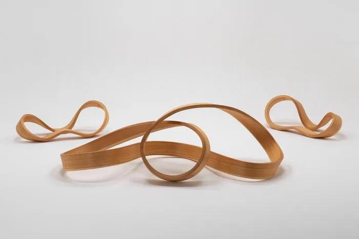 艾特奖优秀奖,艾特奖终身成就奖