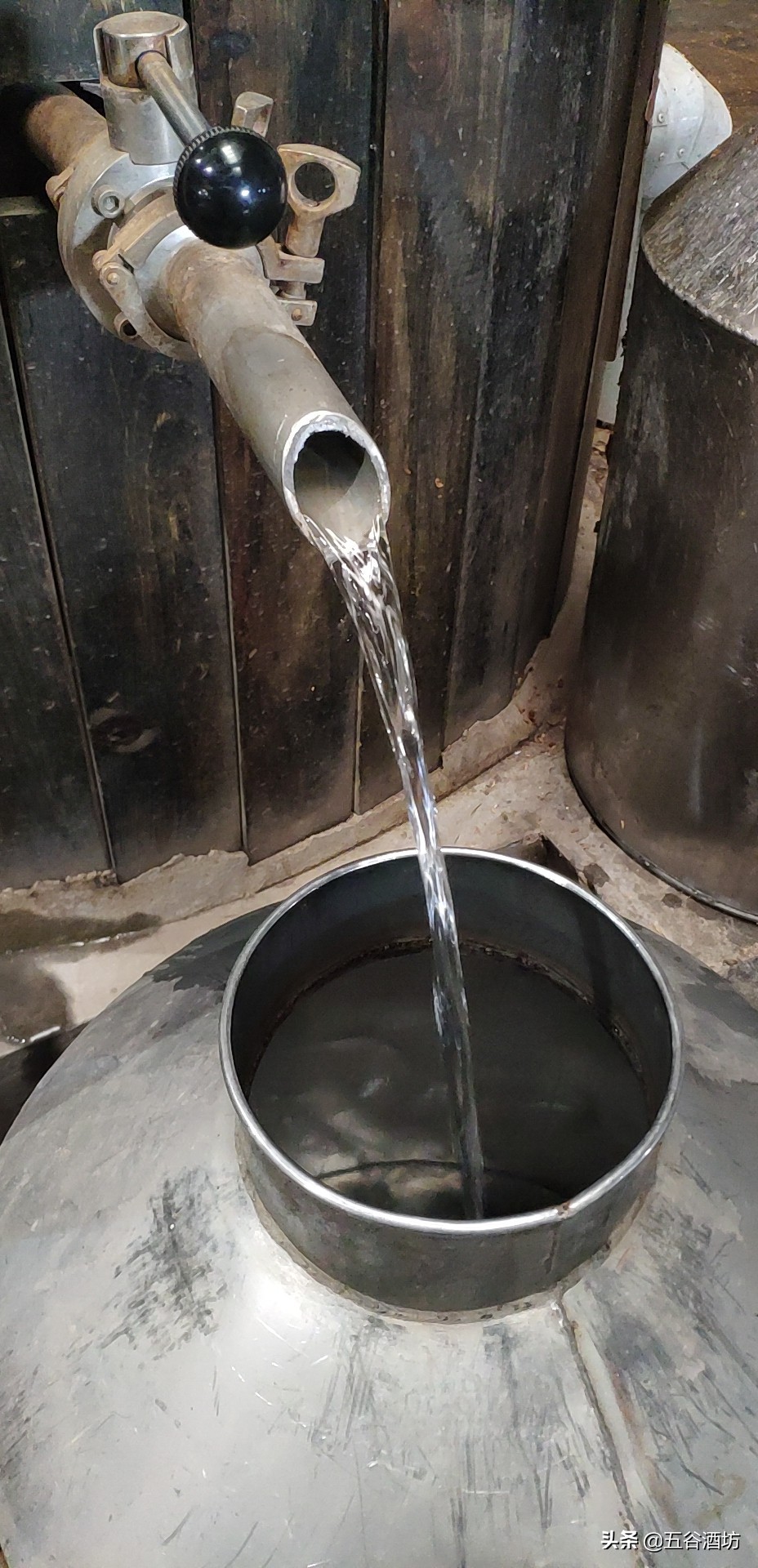 日常喝的5种白酒有哪些,关于白酒你应该知道这些事