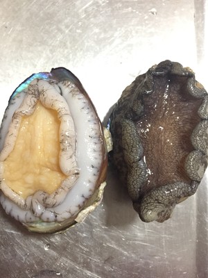 怎么快速的洗鲍鱼,冰冻鲍鱼怎么洗才干净