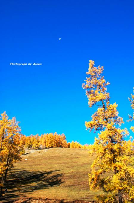 阿勒泰秋天有多美,秋天的新疆阿勒泰太美