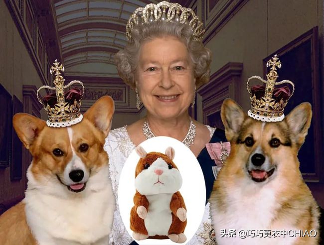 英国王室一般送什么礼物,英国王室成员礼物