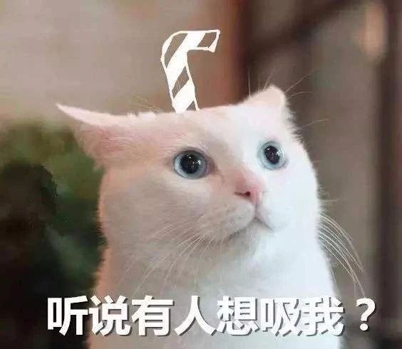家猫引入中国的记载,家猫是恐猫演变而来的吗