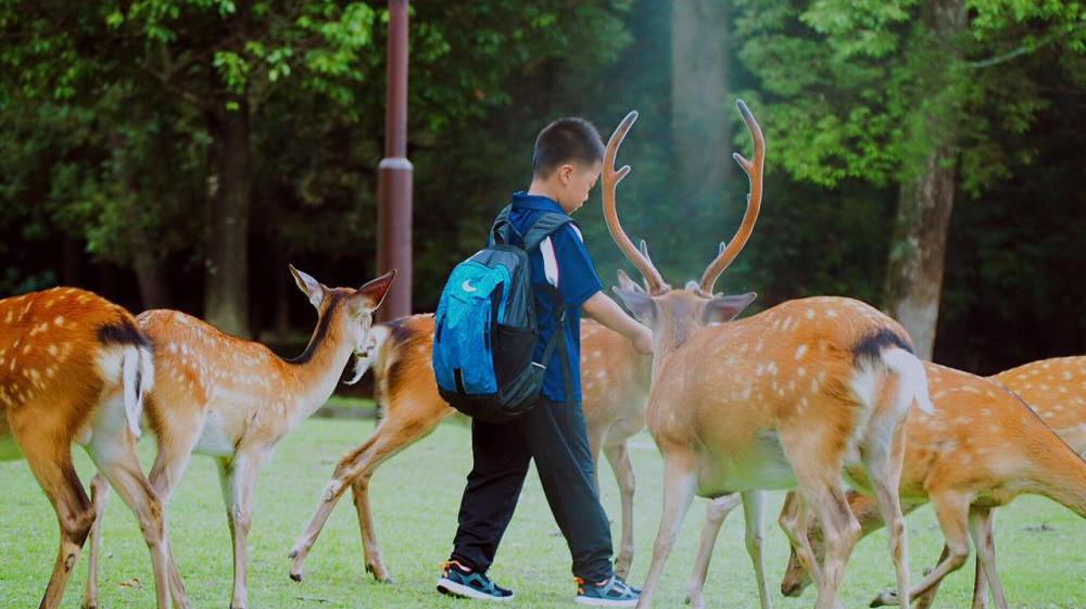 为什么一个人总想出去旅游,总想去旅游是怎么回事