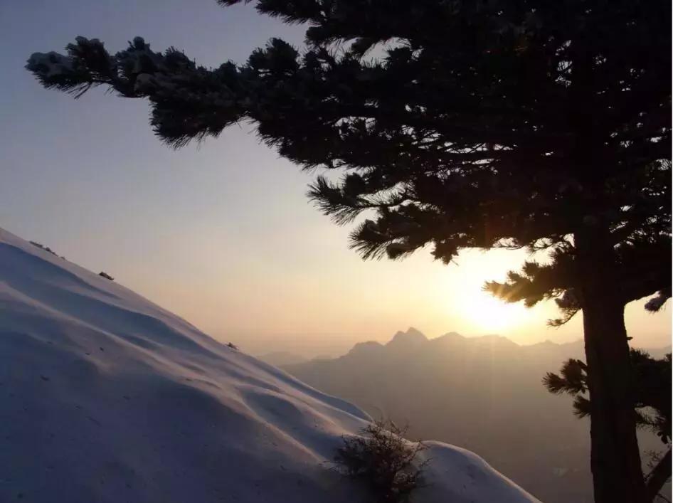 冬天的华山,华山的风景就是这么美