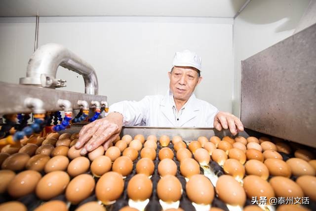 江苏泰州白米镇景点排行,姜堰市各乡镇排名