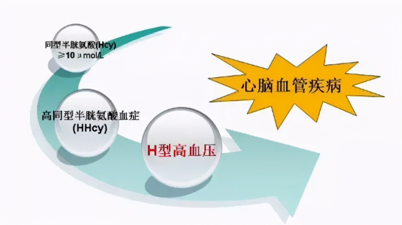 高血压人吃哪个牌子叶酸片比较好,高血压吃什么样的叶酸片好