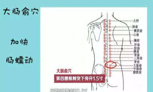 十大实用针灸穴位,针灸特殊穴位主治歌诀