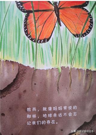蚯蚓的日记绘本好词好句,100个最经典的绘本蚯蚓的日记