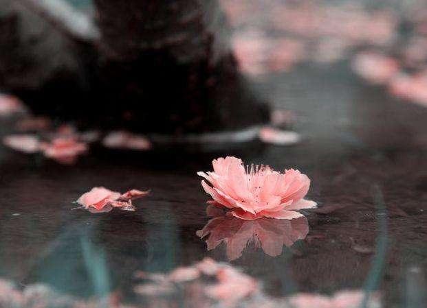 对于特别纠结的人该怎么办,太纠结的人活得太累