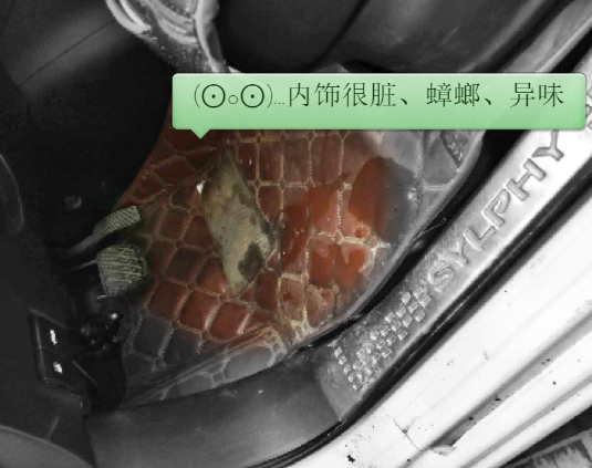 汽车异味全车清洗,汽车内饰有烟味怎么清理