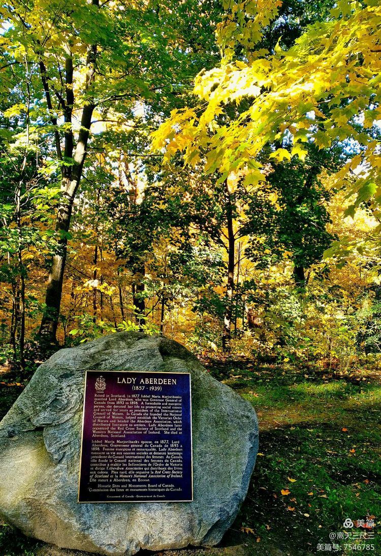 漫步魁北克体验不一样的北美风情,北美枫情蒙特利尔