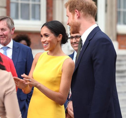 威廉哈里王子揭开戴安娜雕像,戴安娜王妃雕像威廉