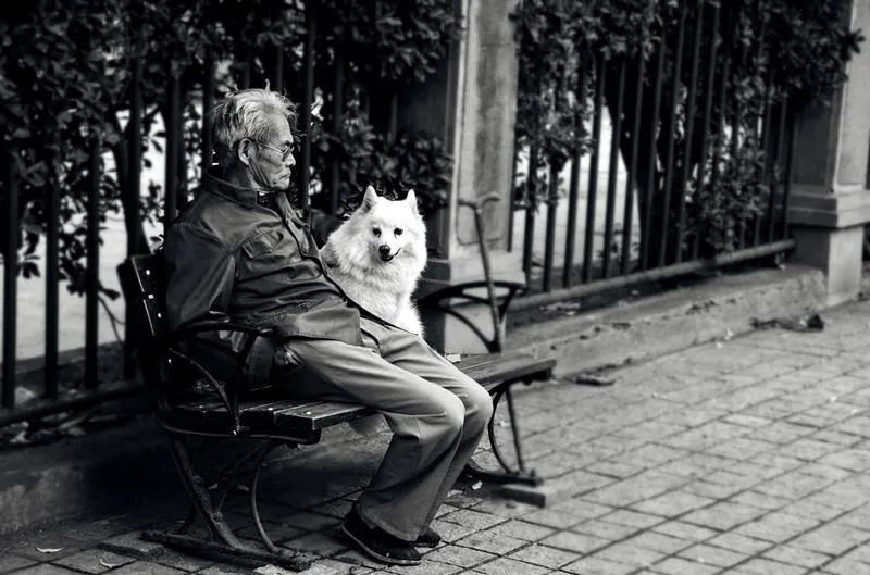 老年人与智能手机的现状,中国老人与智能手机