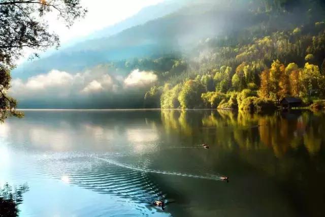 用排比句写领导讲话稿,演讲很有气势的排比句怎么写