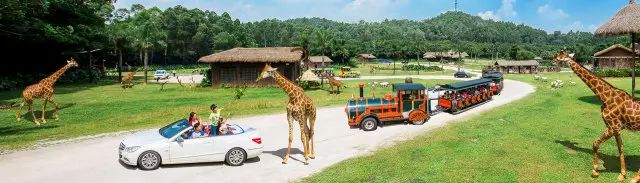 广州生日免费吃喝玩乐,广州生日优惠福利攻略