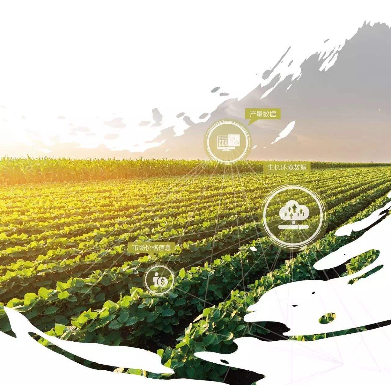 农业信息化技术推广工作,对农业发展有帮助的成就