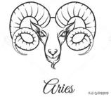 哪个星座最适合当艺术家,艺术家星座统计