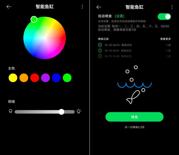 鱼缸养鱼教程图解大全,鱼缸养鱼教程入门图片