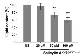 怎么让excel恢复到默认设置,excel无法设置成默认打开方式