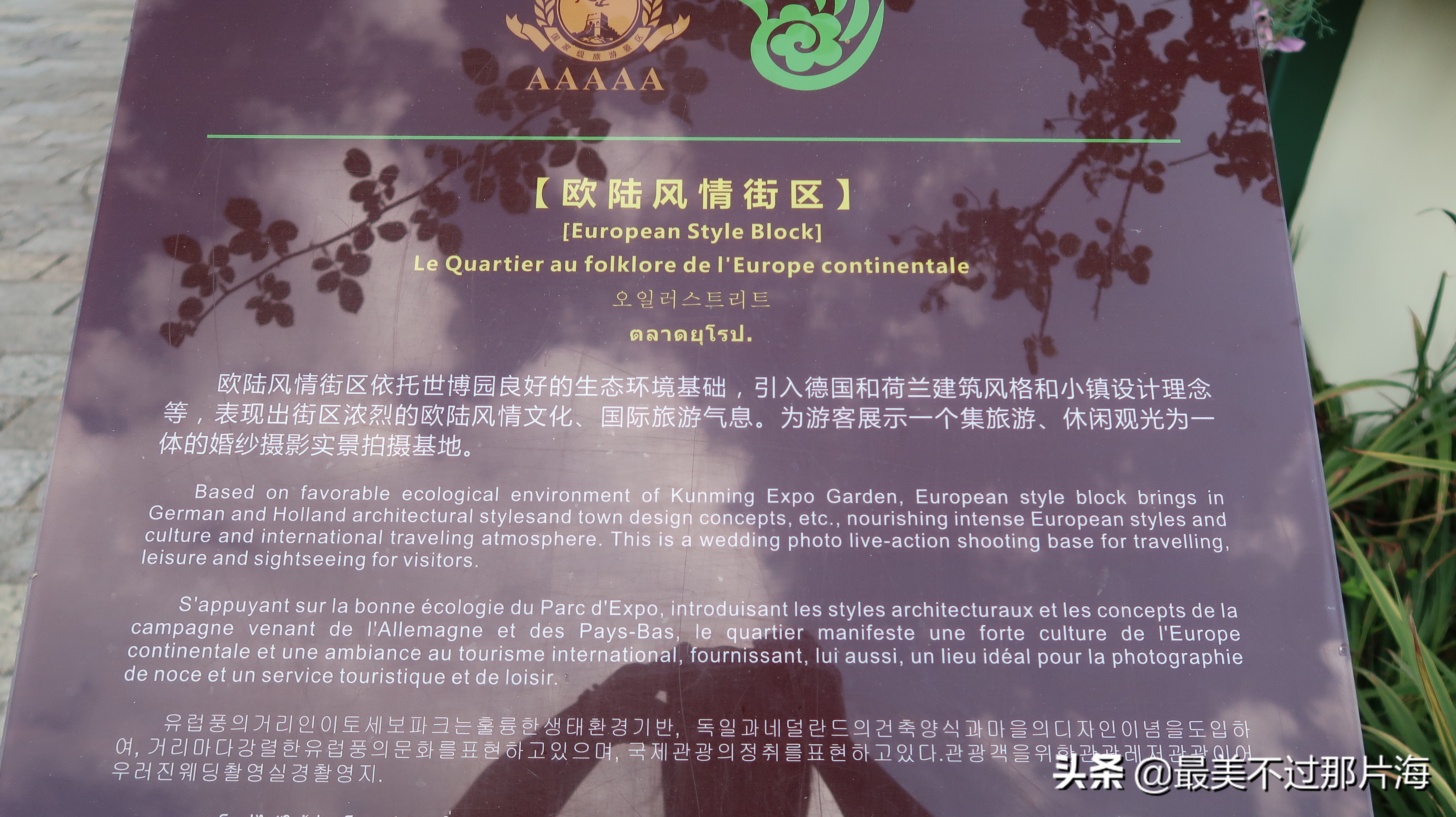 昆明世博园和云南大观园游玩攻略,昆明有个世博园四季如春好地方