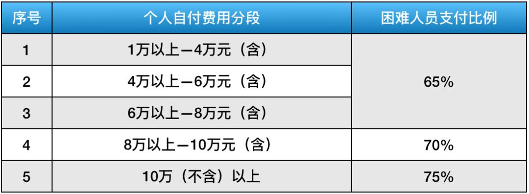 南京市职工大病保险范围及比例,南京市重大疾病社保报销标准