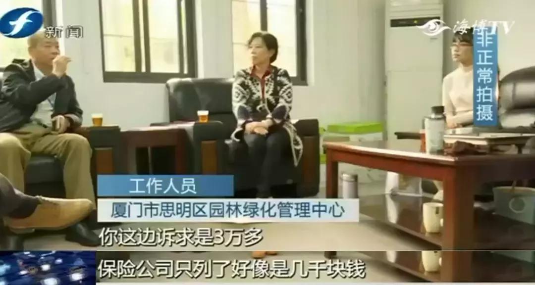 好险|大爷公园散步，硕大枝条垂直戳下，再偏毫厘后果不敢想！