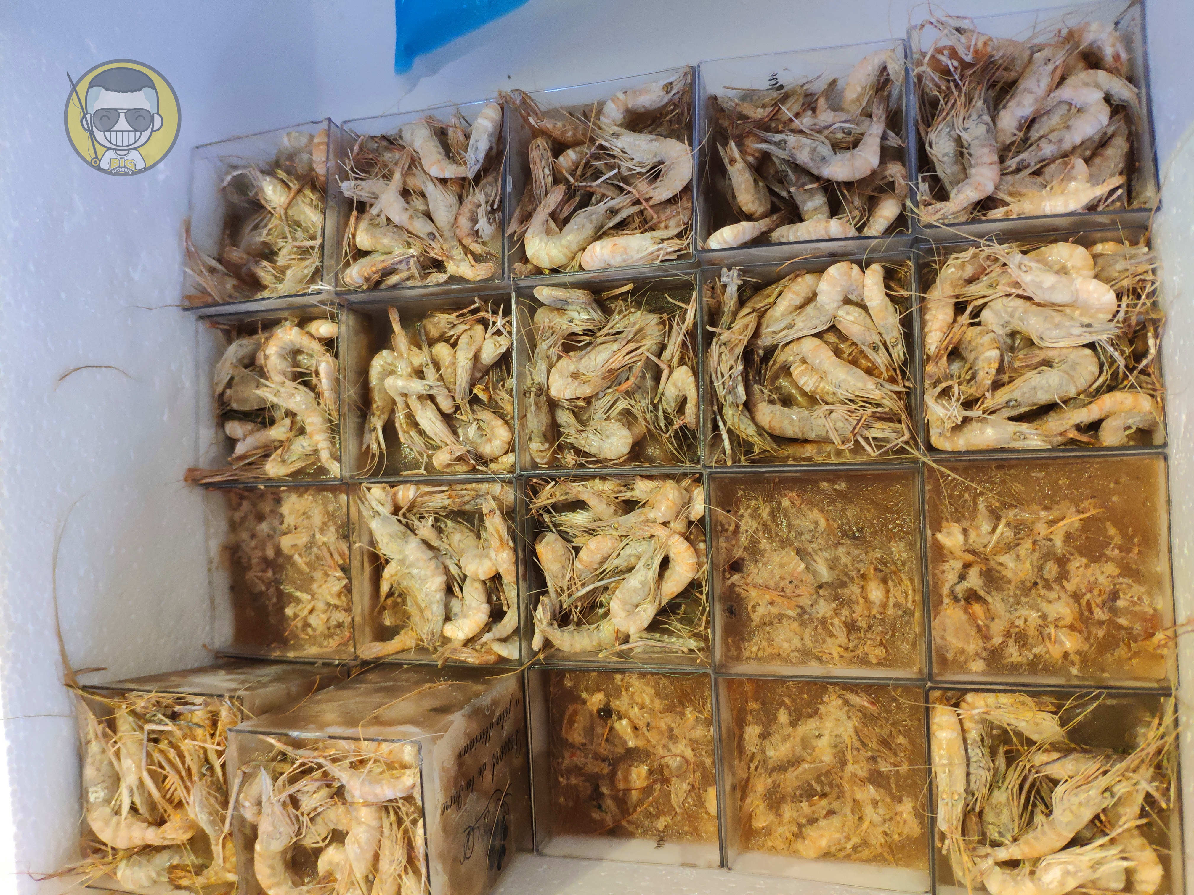 肥水草鱼窝料,综合塘草鱼窝料