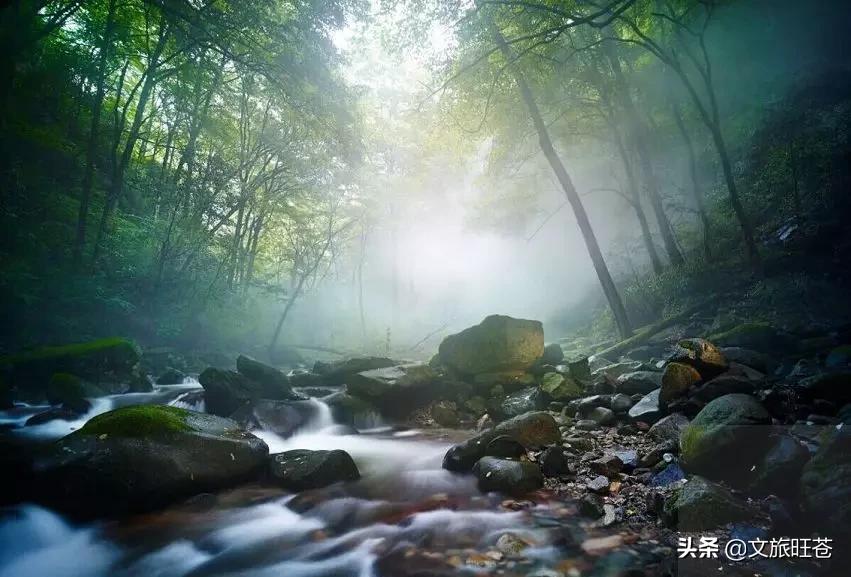 今年春节，留在旺苍过年吧！此心安处是吾乡