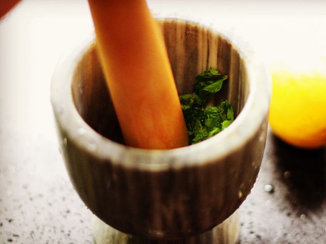 这种草能治多种疾病人人都吃得起,与大家分享一款具有药用价值的草