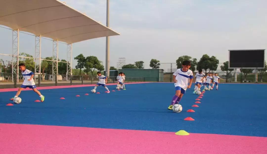 中冠总决赛球队巡礼南京巴兰塔,中冠南京枫帆队员简介