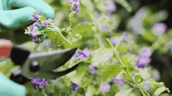 这对闺蜜，用20万来装修出租屋，别人觉得她们傻，两人却是很满足