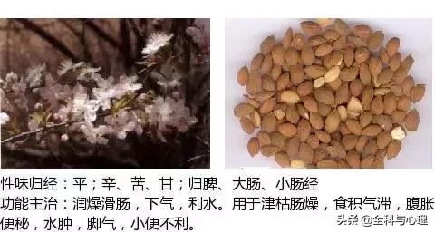 史上最全中草药图谱（附主治功效）（一）