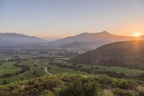 智利名庄酿乐 (智利名庄有哪些)