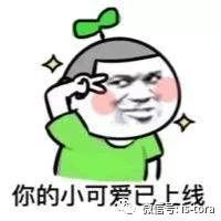 豹王的机滤可以撑多久,较真完整版