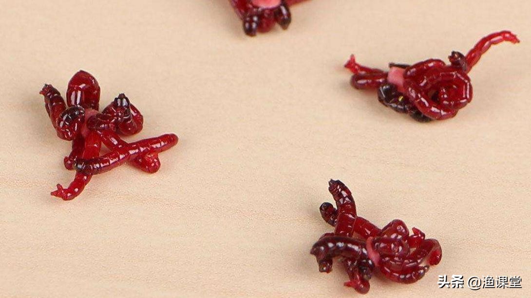 冬季红虫钓鱼最佳时间,冬季钓鱼红虫怎么用