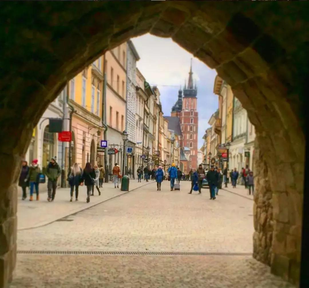 横冲直撞20岁波兰,横冲直撞20岁评价