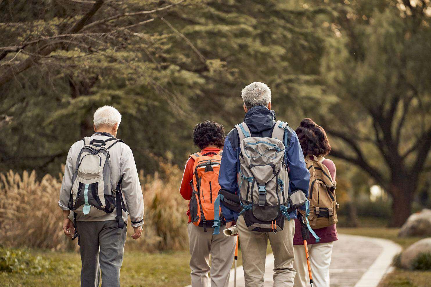 高龄老人应该吃什么蛋白粉好,老年人哪种蛋白粉补充效果最好