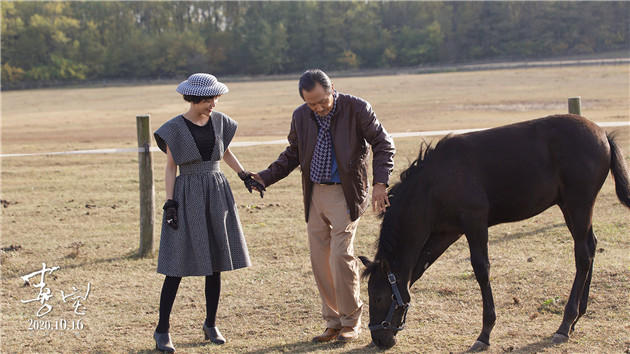电影喜宝中有哪些槽点 (电影喜宝中的槽点)