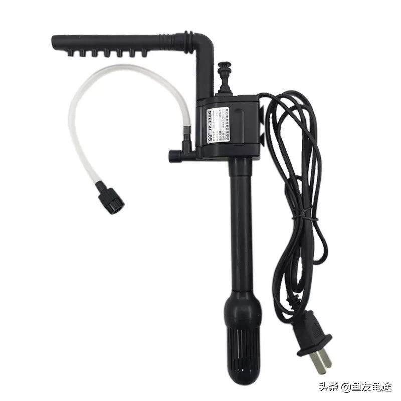 养鱼新手用的是圆形鱼缸该怎么办,新手养鱼选什么鱼缸